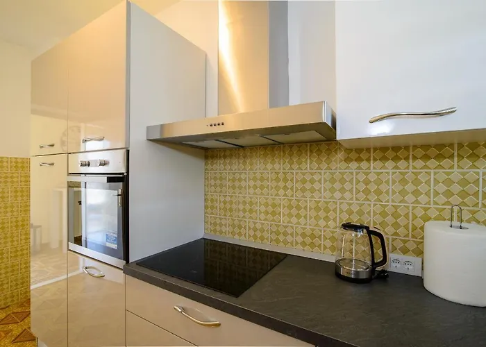 Choko * 트로기르